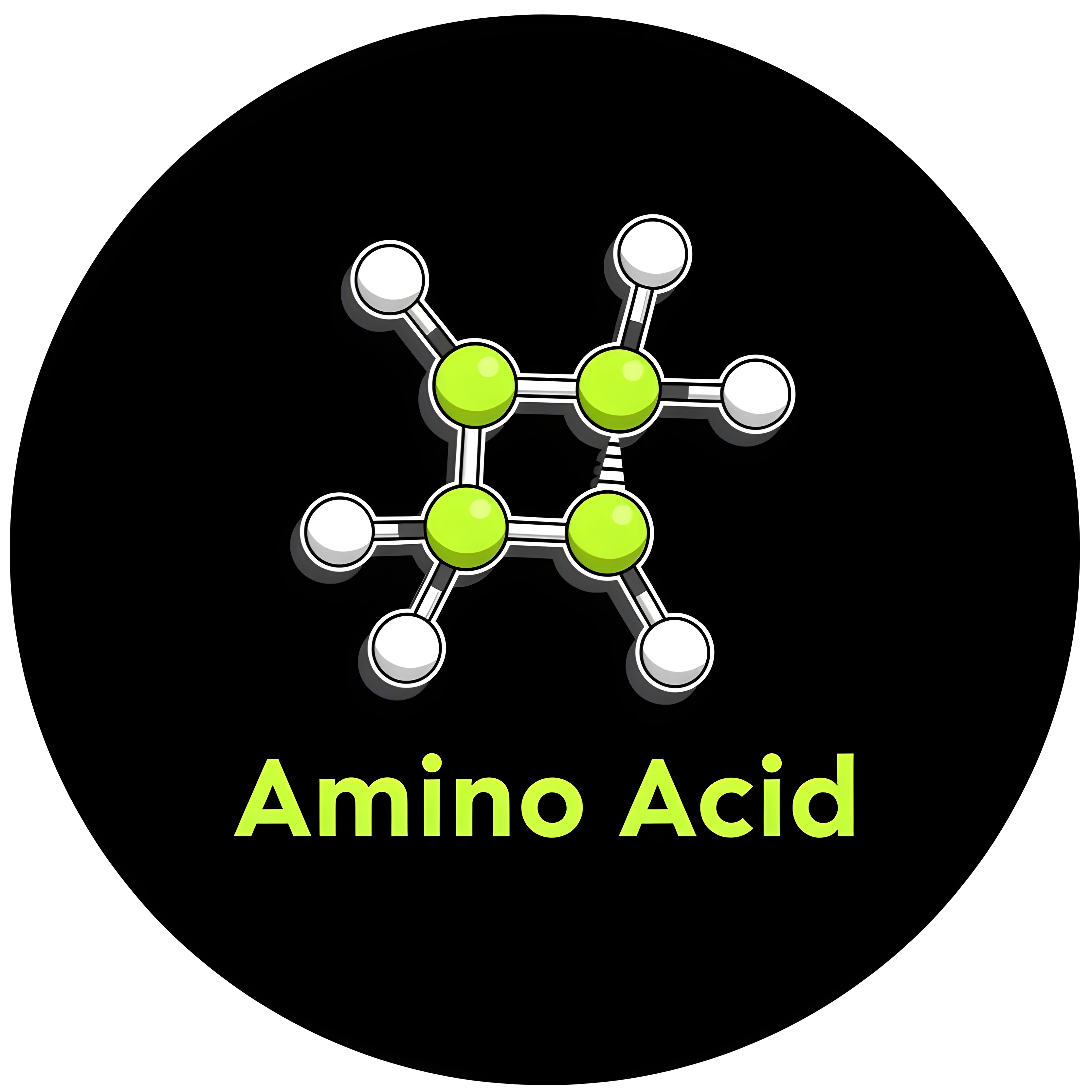 آمینو اسید