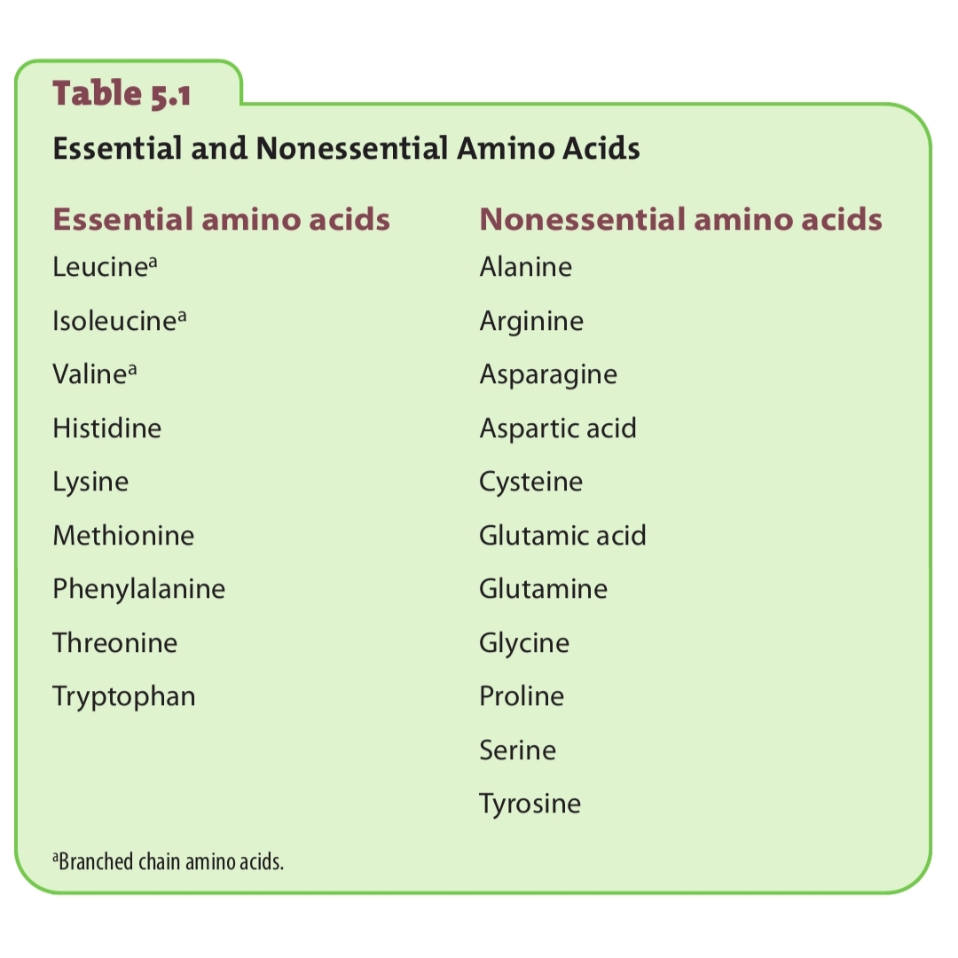 لیست کامل اسیدهای آمینه ضروری و غیر ضروری در رادیو تغذیه با کامیاب نوروزیان 