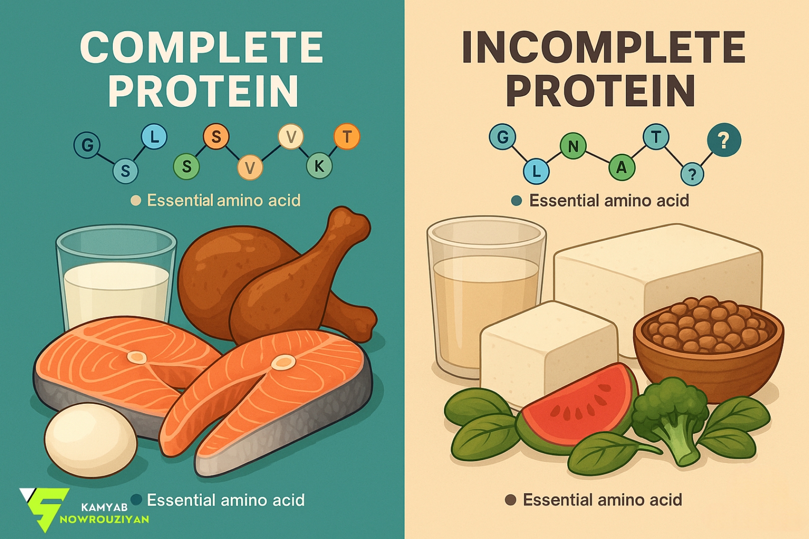پروتئین کامل و غیر کامل یا ناقص در رادیو تغذیه با کامیاب نوروزیان 