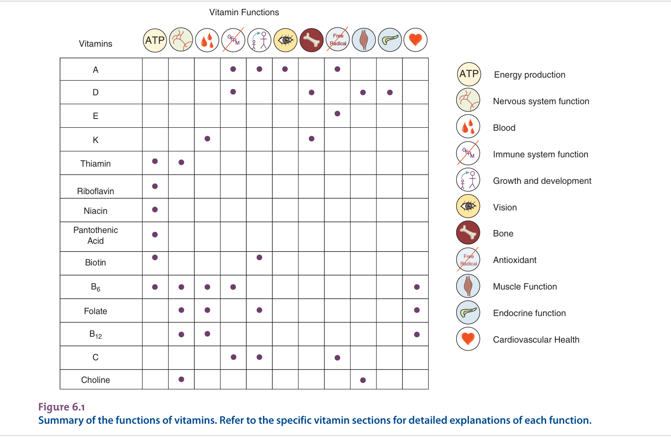 خلاصه نقش ویتامین ها در بدن و عملکرد در رادیو تغذیه