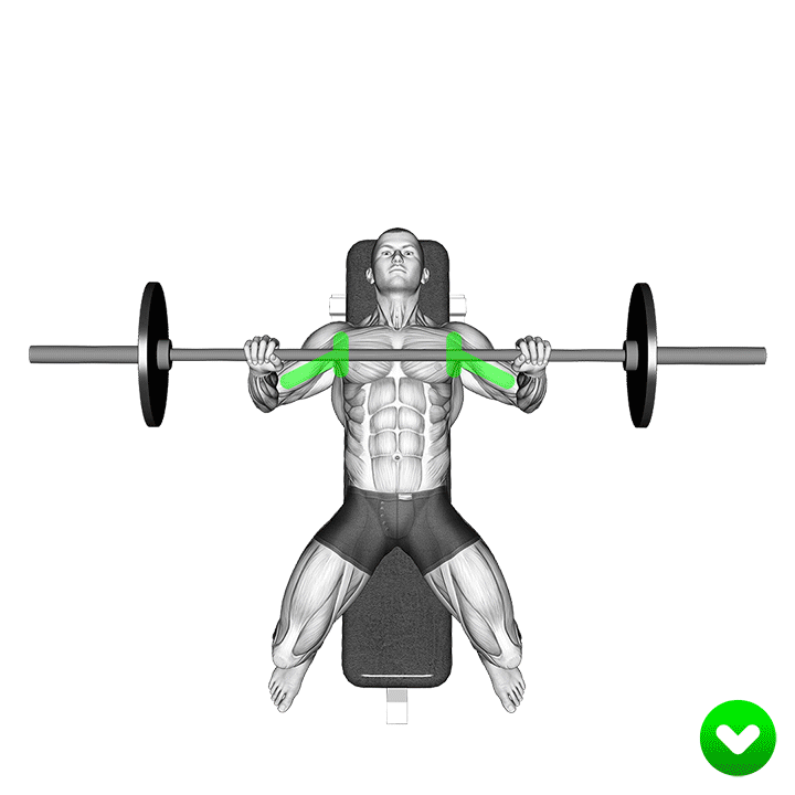 پرس سینه کامیاب نوروزیان 