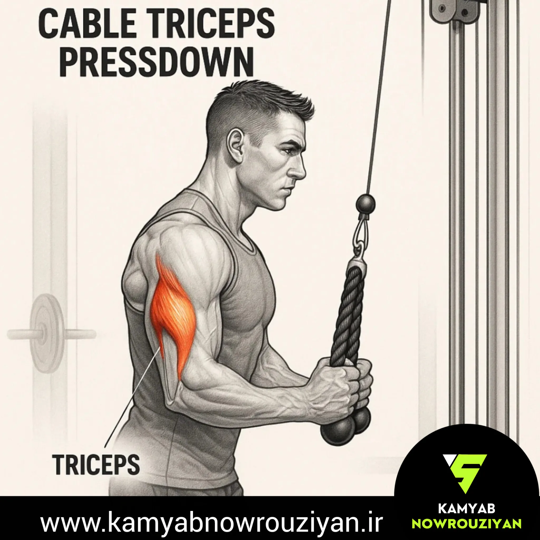 پشت بازو سیم کش طناب