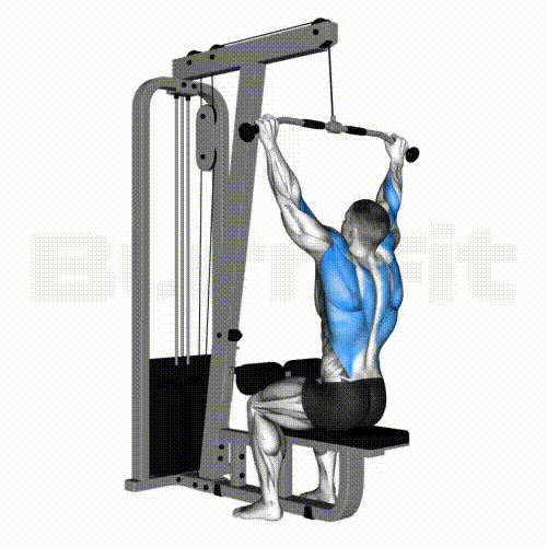 اداکشن بازو برای تقویت عضله لت