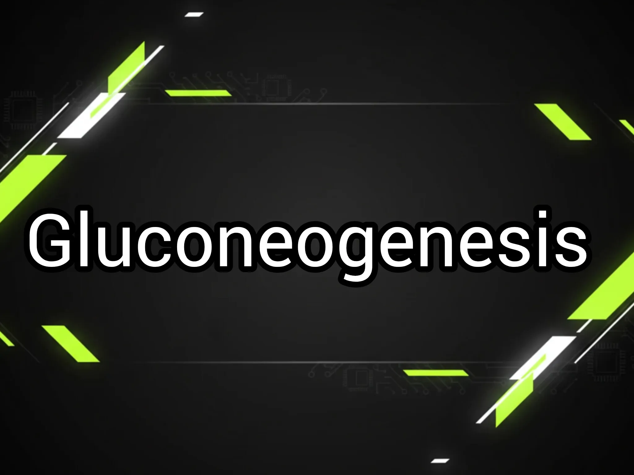 گلوکونئوژنز (Gluconeogenesis) به زبان ساده
