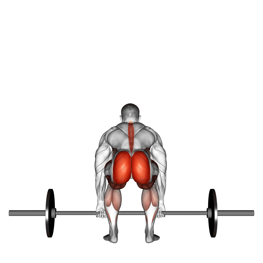 آموزش حرکات بدنسازی با کامیاب نوروزیان 