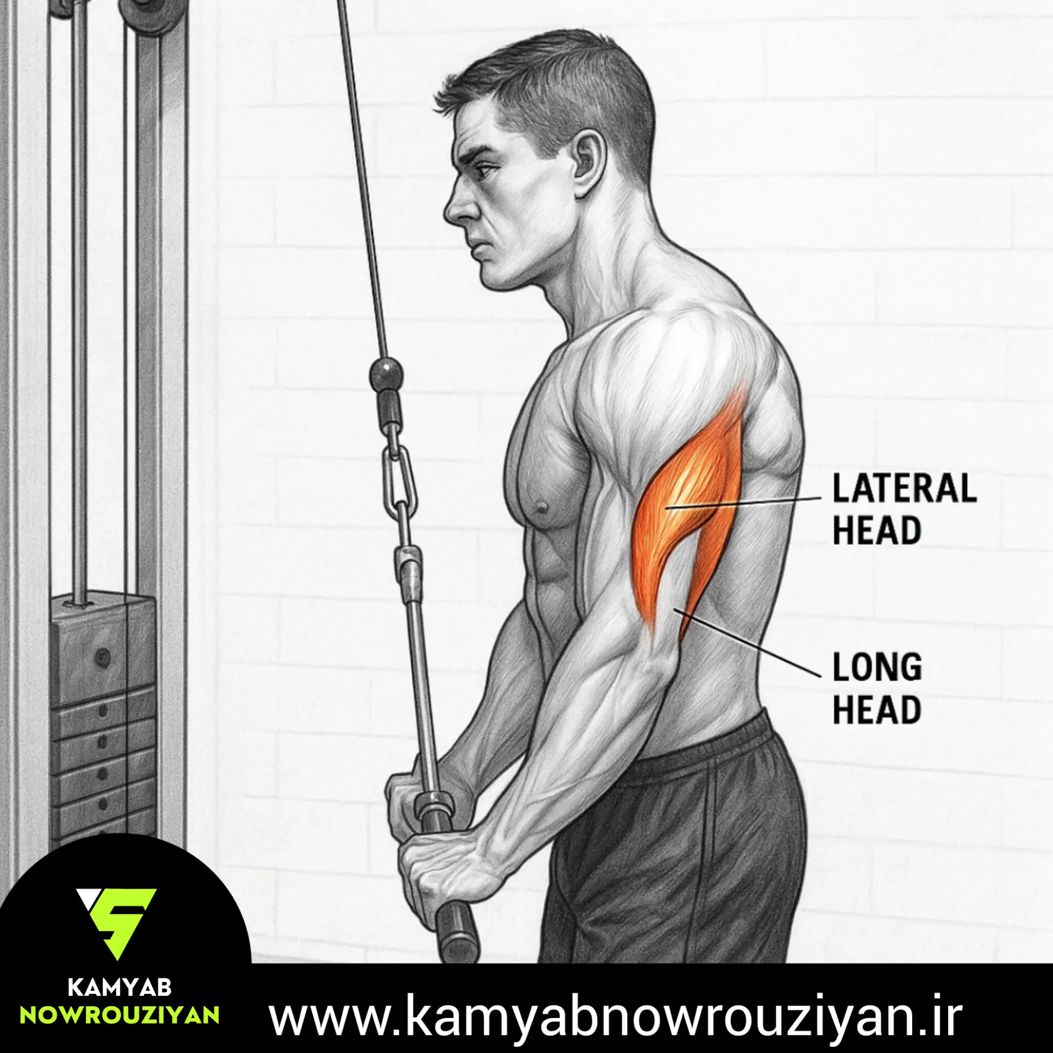 پشت بازو سیم کش با میله