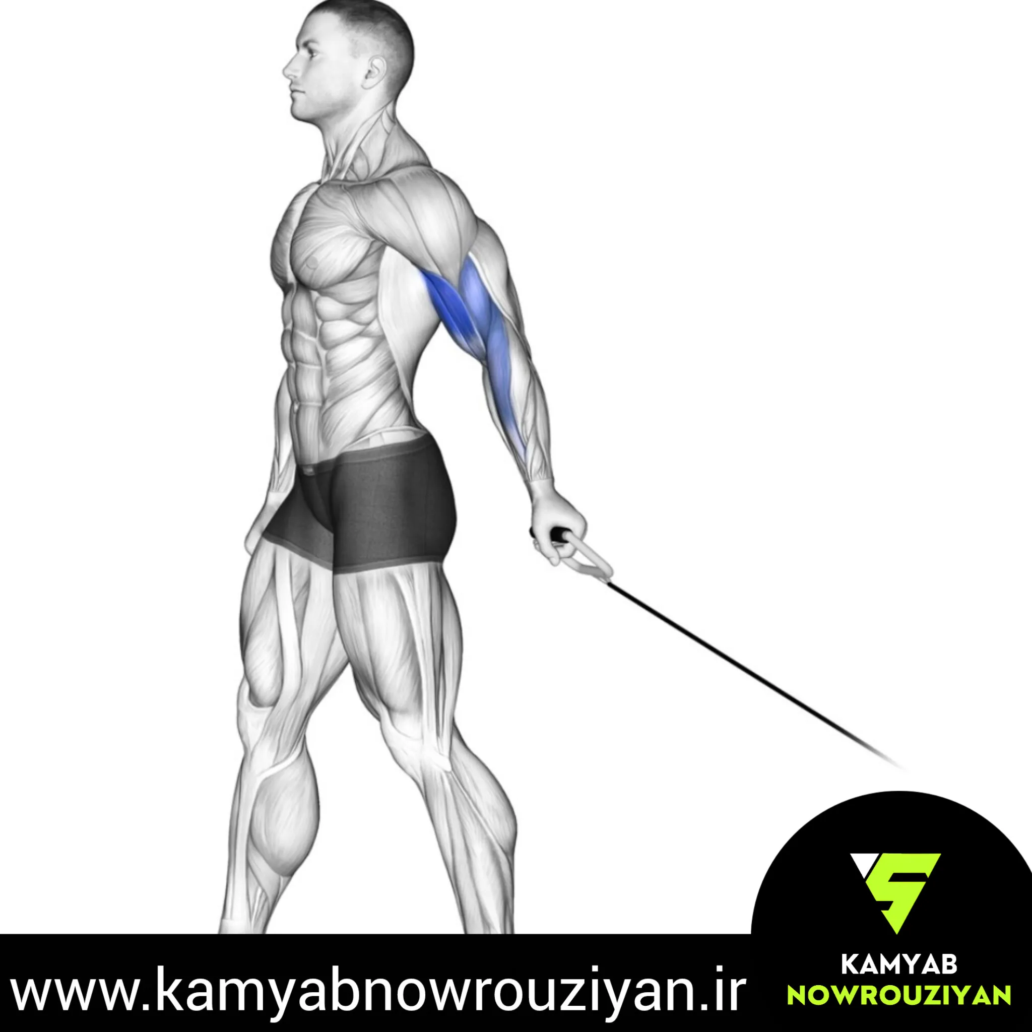 حرکت جلوبازو سیم کش از پشت