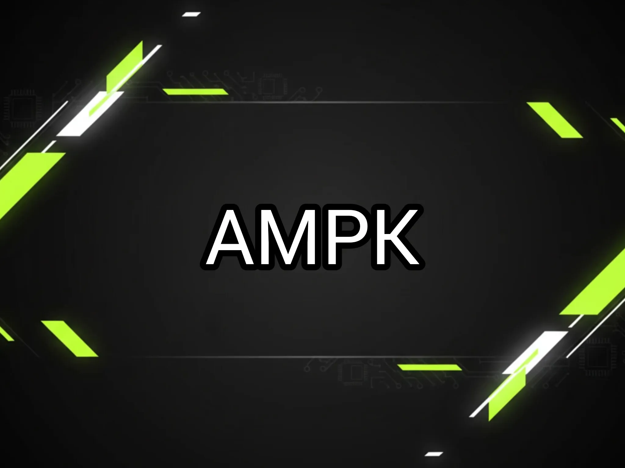 تعریف علمی آنزیم ای‌ام‌پی‌کی (AMPK) 