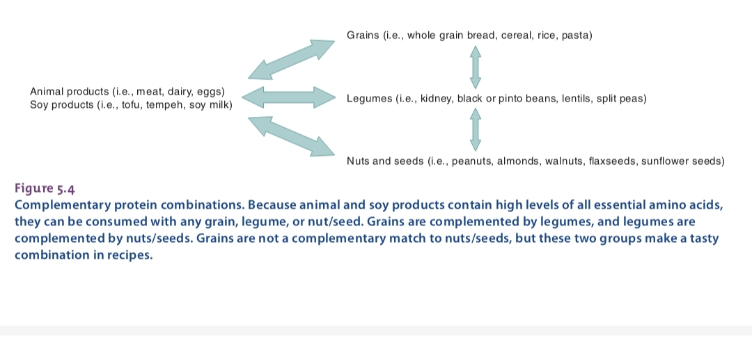 پرتئین های کامل در رادیو تغذیه با کامیاب نوروزیان 