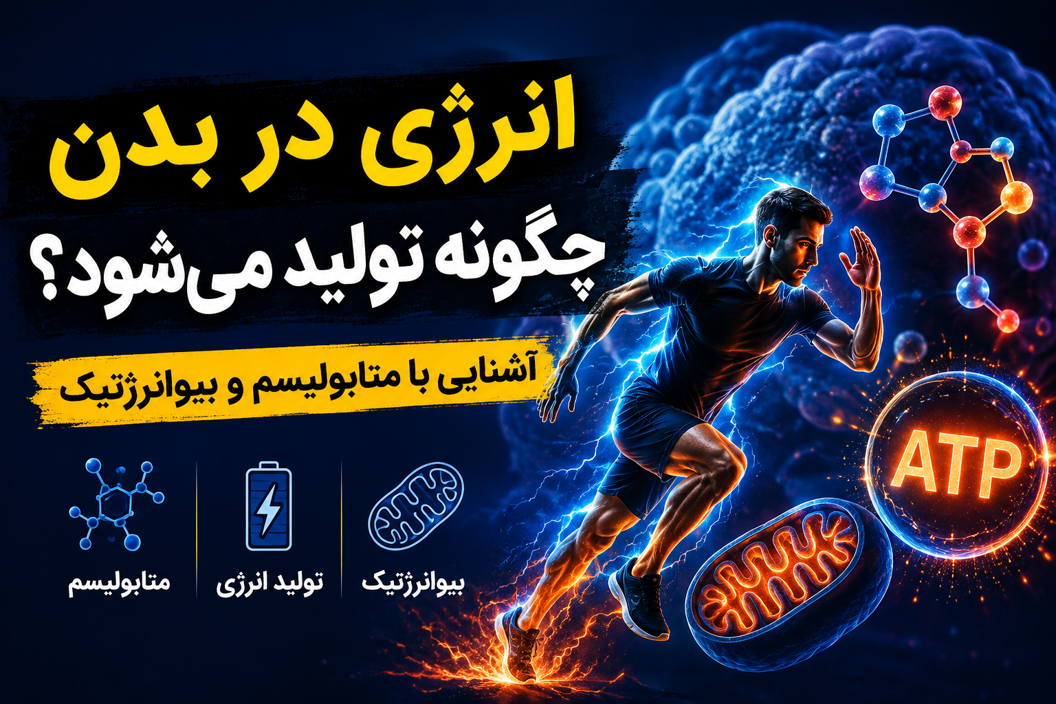 متابولیسم و بیوانرژتیک در فیزیولوژی ورزشی با کامیاب نوروزیان