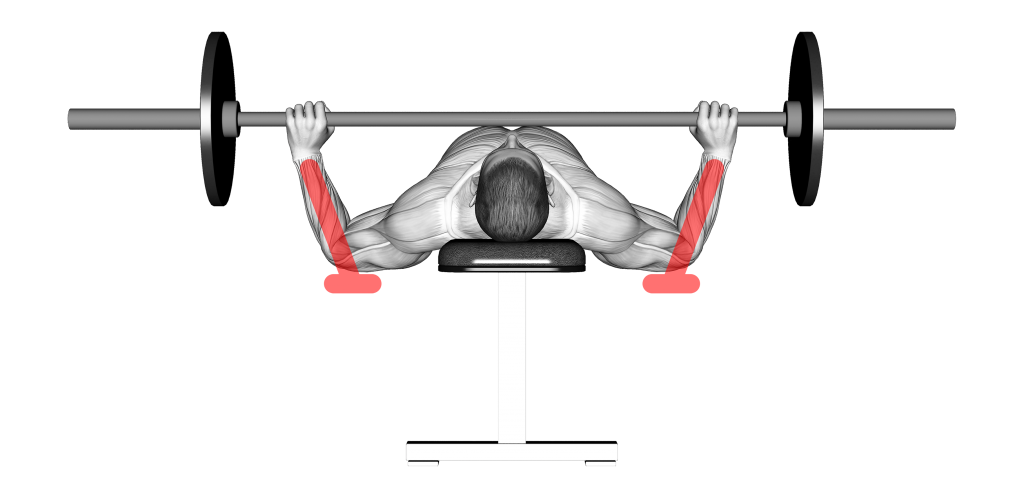 اشتباهات رایج در اجرای حرکت پرس سینه 