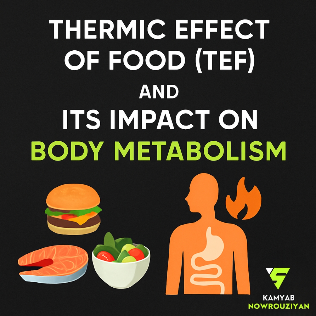 اثر حرارتی غذا TEF در رادیو تغذیه با کامیاب نوروزیان 