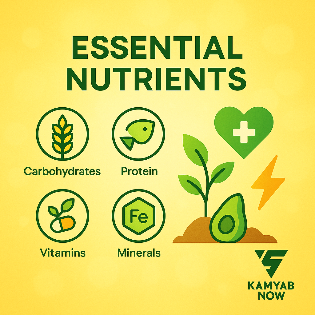 کامیاب نوروزیان رادیو تغذیه کتاب تغذیه ورزشی کاربردی