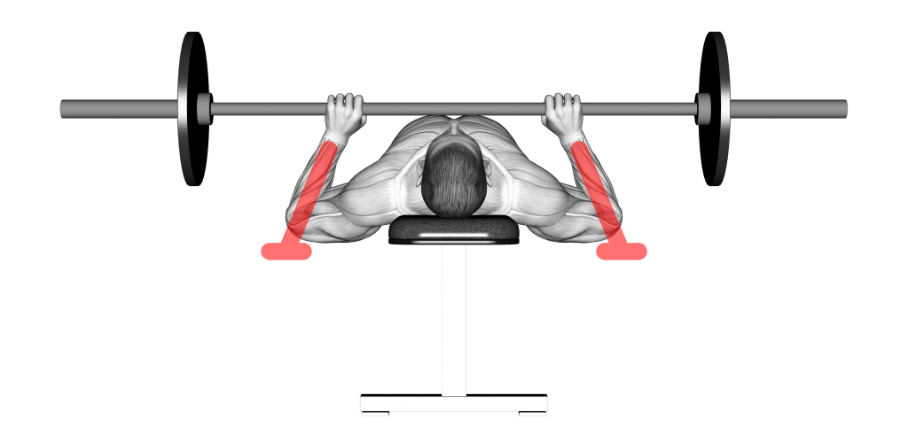 اشتباهات رایج در اجرای حرکت پرس سینه 