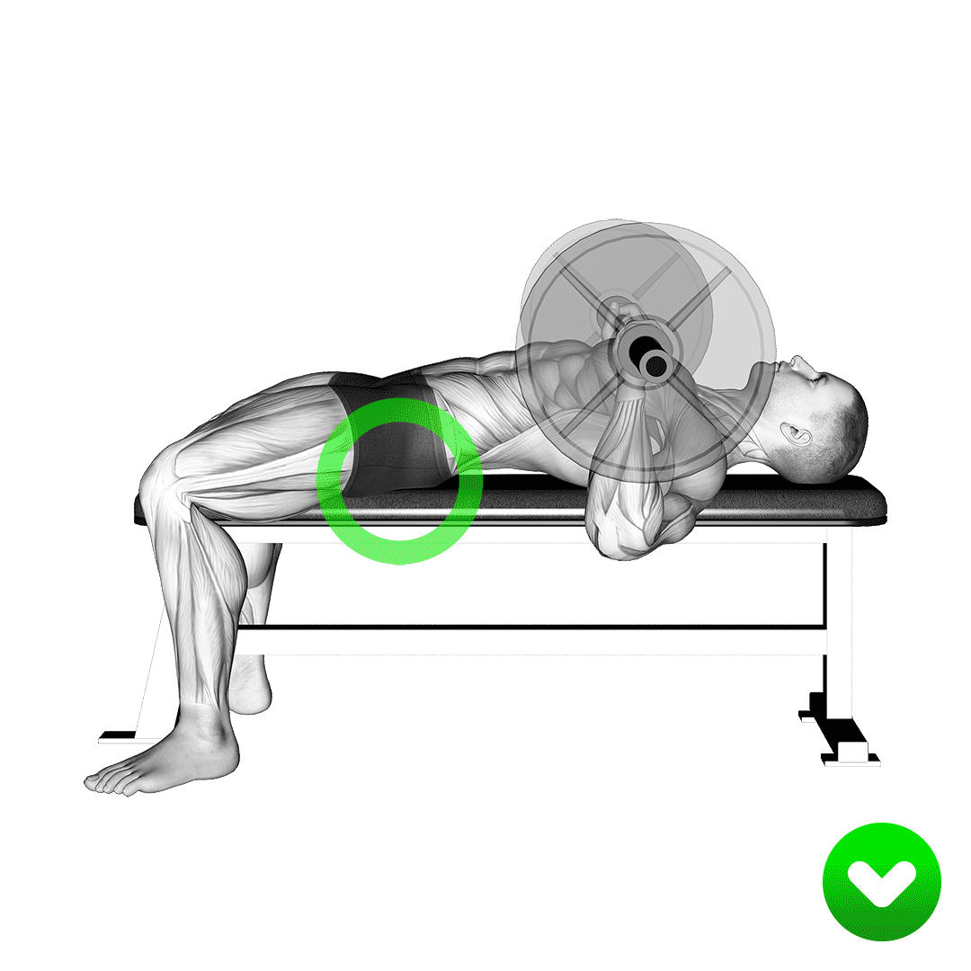 آموزش پرس سینه با کامیاب نوروزیان 