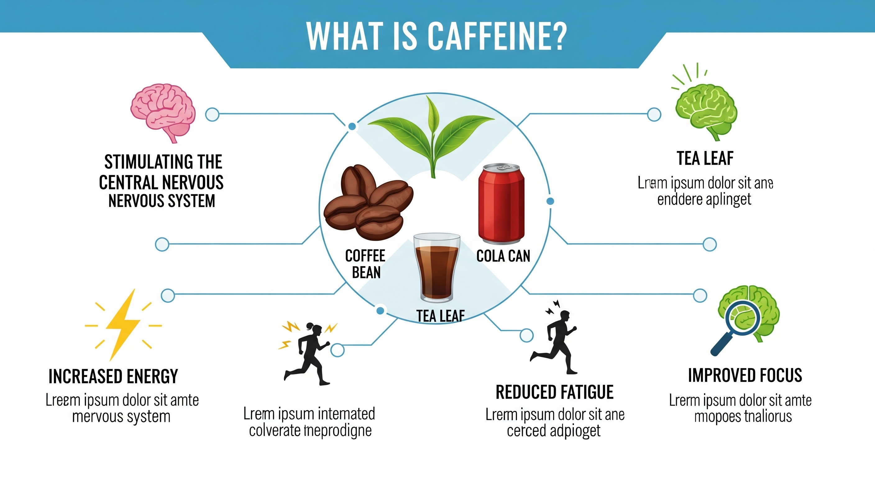 مکمل کافئین چیست؟ رادیو تغذیه با کامیاب نوروزیان 