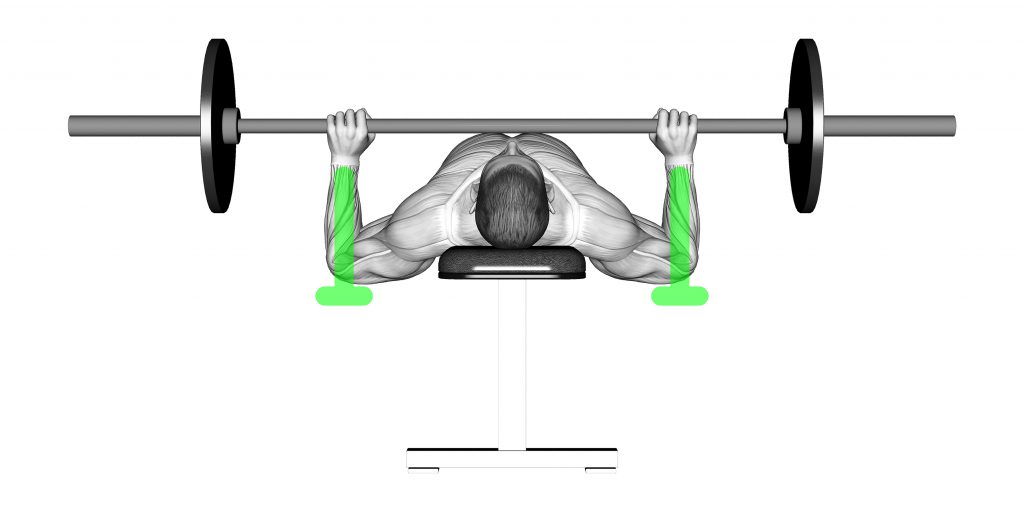 اجرای حرکت صحیح پرس سینه با کامیاب نوروزیان 