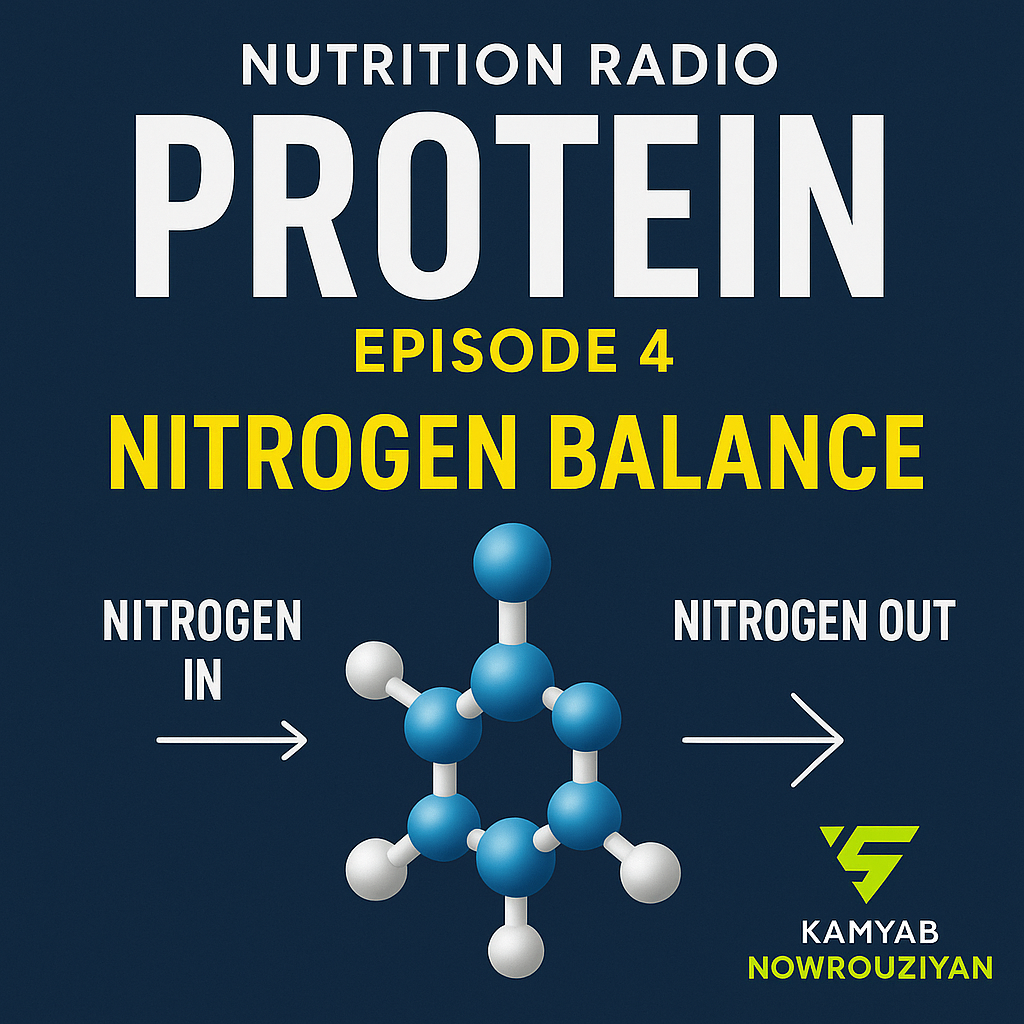 تعادل نیتروژن چیست؟ | نقش پروتئین در عملکرد و تعادل نیتروژن بدن در رادیو تغذیه