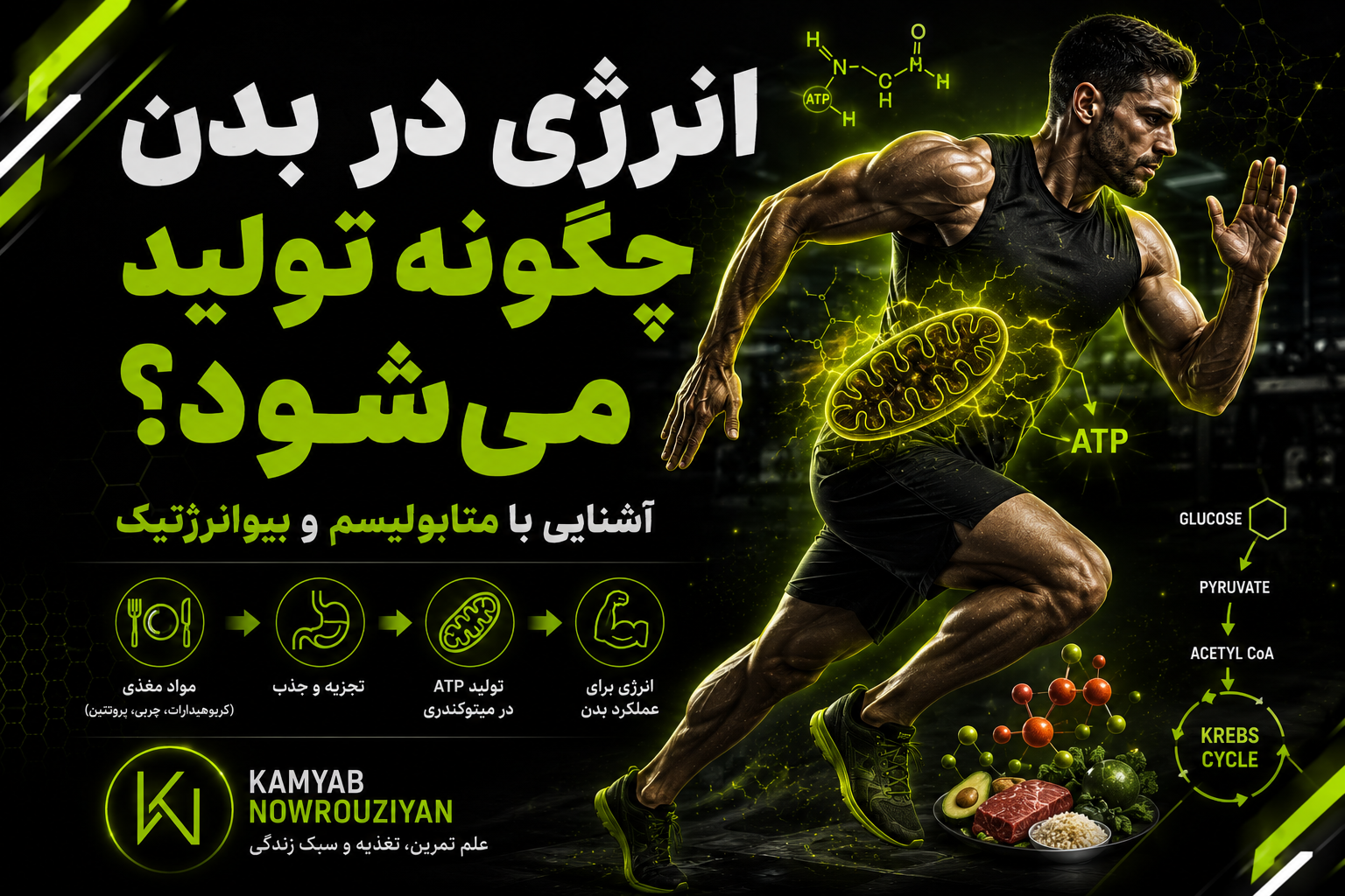 متابولیسم و بیوانرژتیک در فیزیولوژی ورزشی با کامیاب نوروزیان