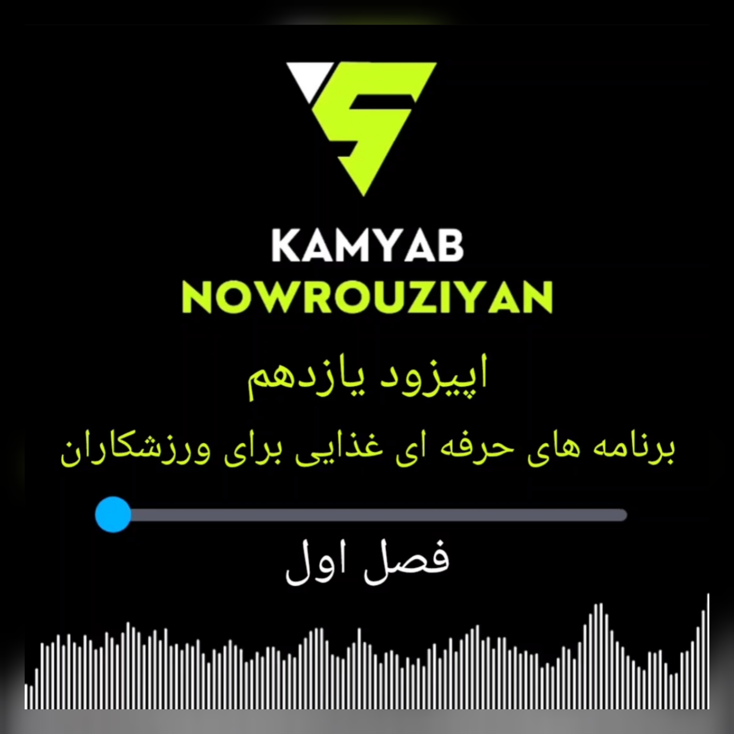 برنامه غذایی حرفه‌ای برای ورزشکاران | رادیو تغذیه - اپیزود ۱۱