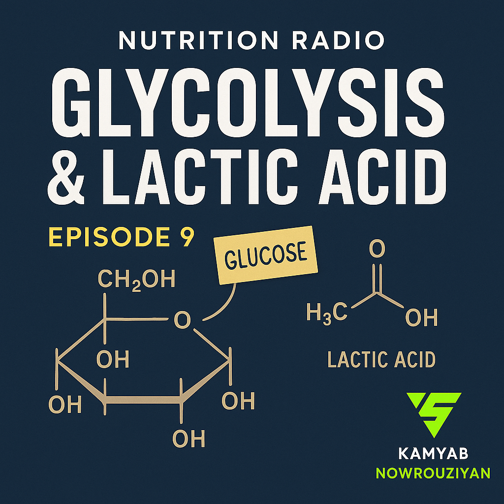 رادیو تغذیه | فصل کربوهیدرات‌ها - اپیزود ۹: گلیکولیز و اسید لاکتیک