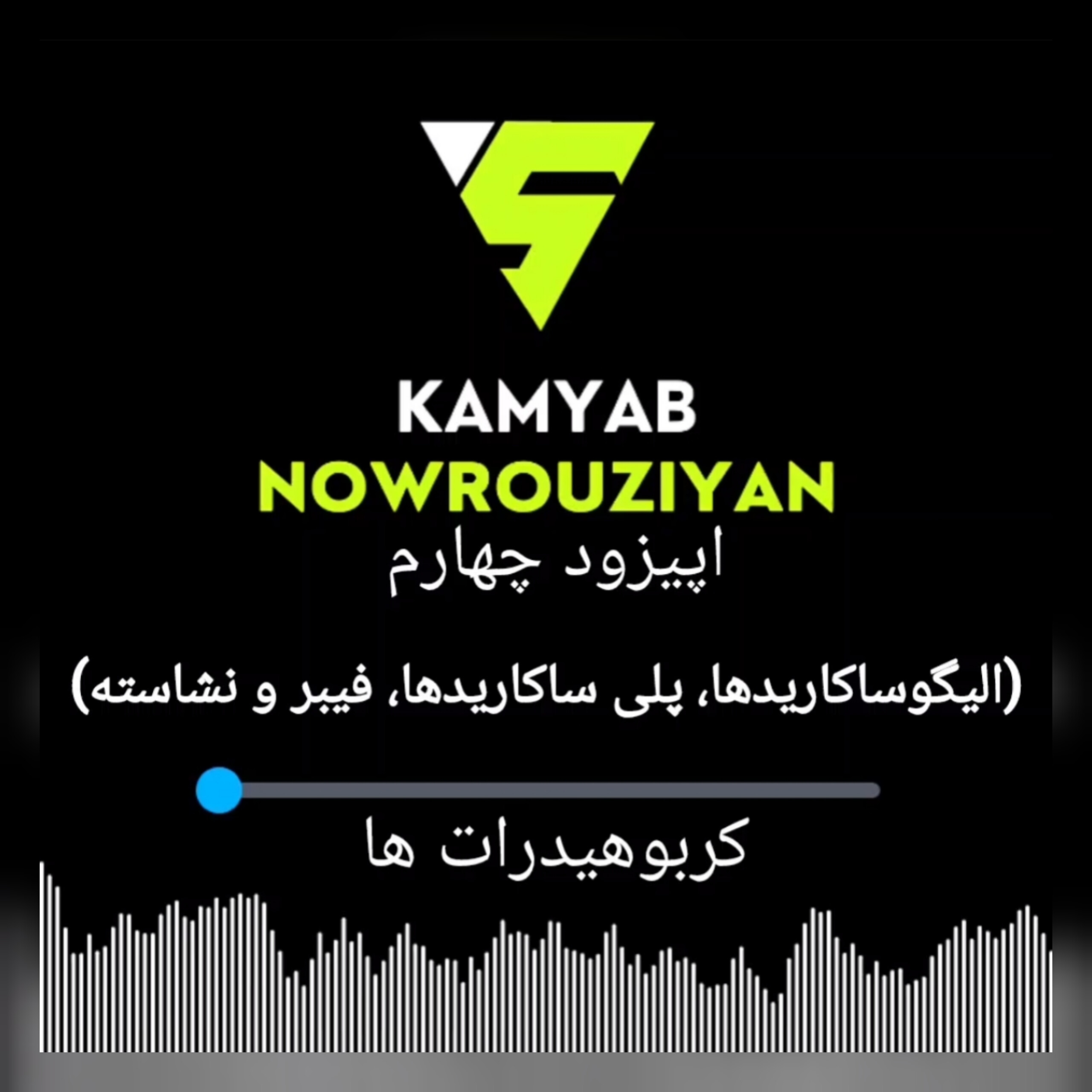 الیگوساکاریدها، پلی‌ساکاریدها، فیبر و نشاسته | رادیو تغذیه فصل کربوهیدرات اپیزود ۴